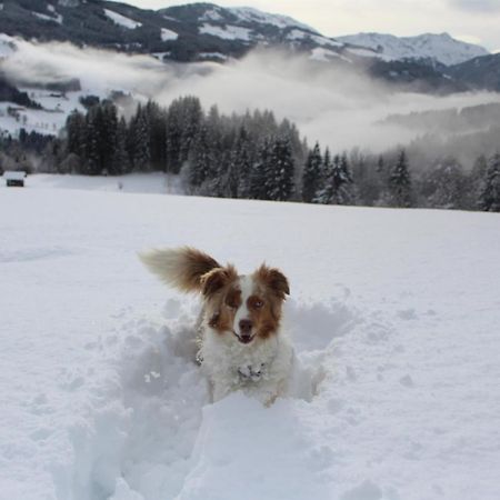 Appartement Stallfeldhof ฮอพฟ์การ์เทน อิม บริกเซนทัล ภายนอก รูปภาพ